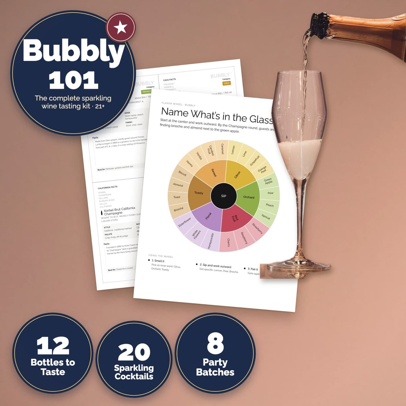Bubbly 101 Champagne & Sparkling Wine Tasting Kit