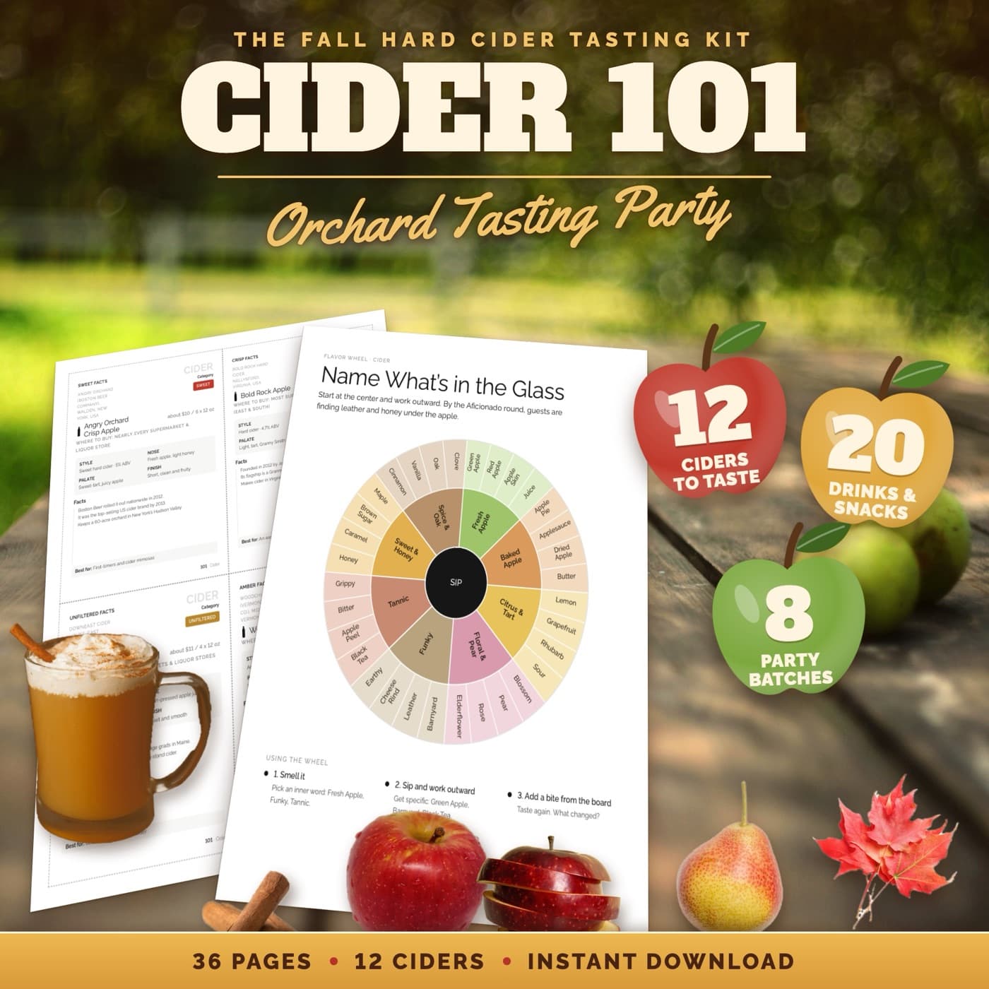 Cider 101 Fall Cider Tasting Kit