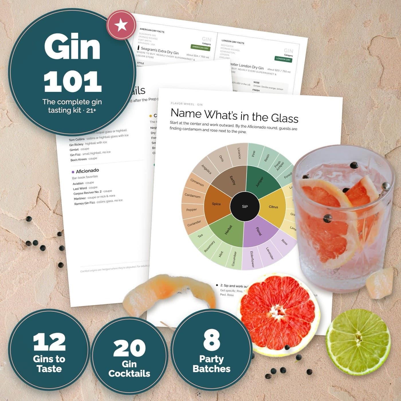 Gin 101 Gin Tasting & G&T Bar Kit